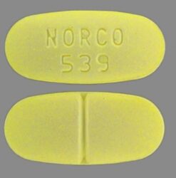 Norco 10/325 mg hydrocodone acetaminophen tablet